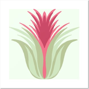 Air Plant Green and Red Tones Posters and Art